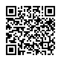 Fullmetal Alchemist Brotherhood - 13 (1440x1080 x264 Cantonese AC3 + Japanese AAC).mkv的二维码