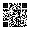 [rlrl] [091028] ニンテンドーDS ポケモン ハートゴールド&ソウルシルバー ミュージック.スーパーコンプリート(flac＋m3u)的二维码