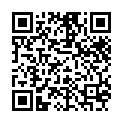 [Kamigami] Fairy Tail S2 - 202 [1280x720 x264 AAC Sub(Cht,Chs,Jap)].mkv的二维码