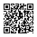 [BakaSubs] (PV) Linked Horizon - Guren no yumiya 紅蓮の弓矢 (720x480 x264 AAC).mkv的二维码