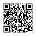 [NoobSubs] Fate Zero S2 14-25 + SP04-06 (720p Blu-ray eng dub MP4)的二维码