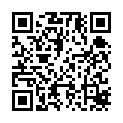 [Hagane]Fullmetal Alchemist Brotherhood 27-30[720P]的二维码