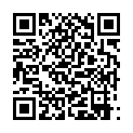 John Wick Chapter 2 2017 1080p BluRay x264 Dual Audio [Hindi 2.0 - English 2.0] ESub的二维码